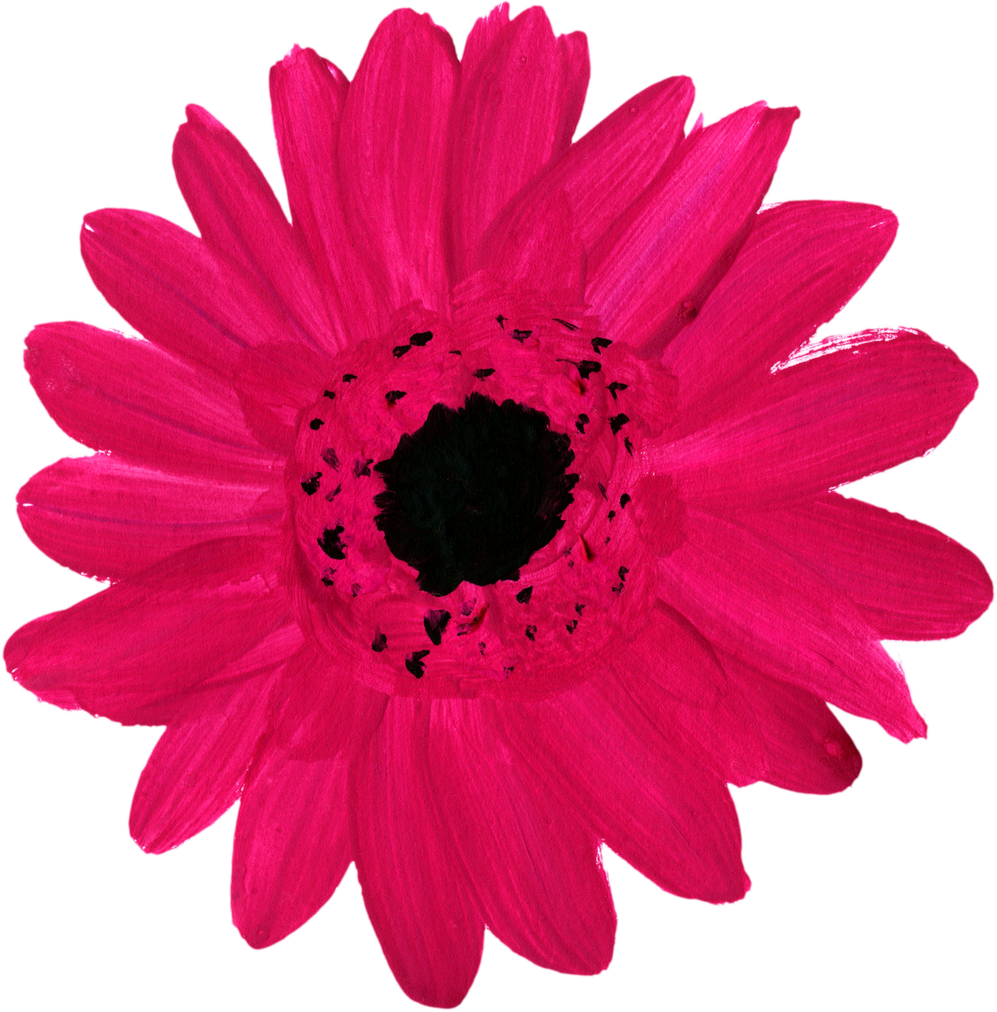 Magenta Painted Flower